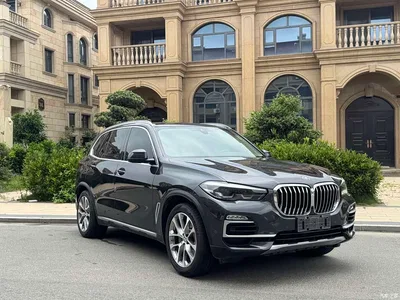 2019 BMW X5 (Import) xDrive30i M Sport Package, фото 3, лот 10463531