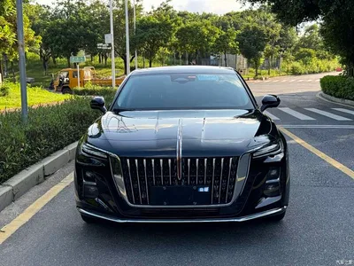 2025 Hongqi H5 2.0T Automatic Flag Celebration 500,000 Units Anniversary Edition, фото 2, лот 10288460