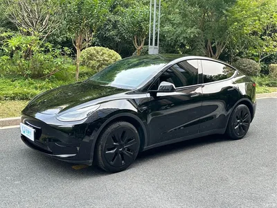 2022 Tesla Model Y Facelift Rear-Wheel Drive Version, фото 1, лот 11196400