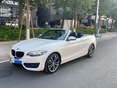 2019 BMW 2 Series (Import) 225i Convertible Coupe Sport Design Package, фото 1, лот 10471397