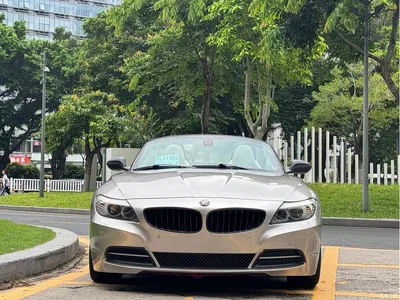 2010 BMW Z4 sDrive35i Luxury Model, фото 2, лот 10477608