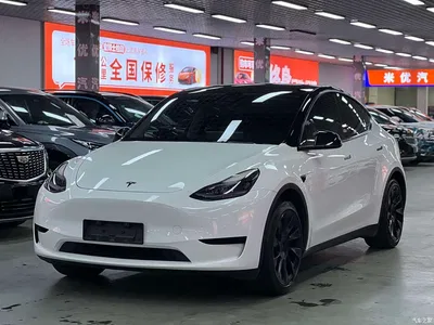 2022 Tesla Model Y Facelift Rear-Wheel Drive Version, фото 1, лот 11177747