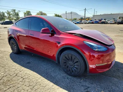 2024 TESLA MODEL Y, фото 4, лот 10647214