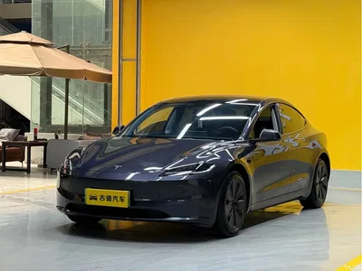 2025 Tesla Model 3 Model Rear-Wheel Drive Edition, фото 1, лот 10346197