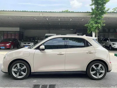 2022 Ora Good Cat Model Morandi Edition 400km Standard Range Premium NCM, фото 3, лот 10384668