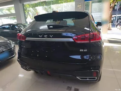 2021 WEY VV5 1.5T 2WD Style Pioneer, фото 4, лот 10452243