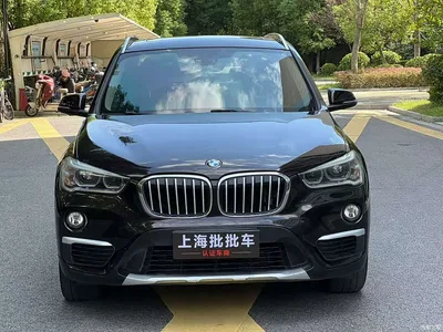 2018 BMW X1 xDrive20Li Premium Model, фото 1, лот 11547819