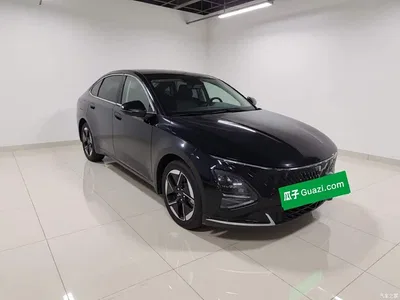 2024 Wuling Motors Wuling Xingguang Co-Creation Edition 150 Pilot, фото 3, лот 10821988