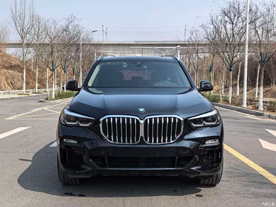 2020 BMW X5 (Import) xDrive30i M Sport Package, фото 2, лот 10464140