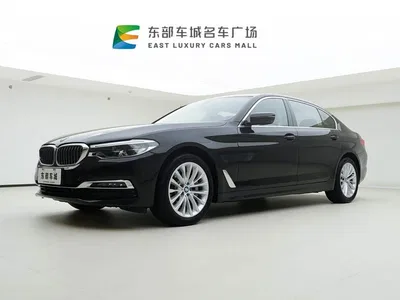 2019 BMW 5 Series 530Li xDrive Luxury Package, фото 1, лот 10445986