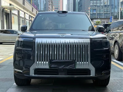 2025 ZEEKR 9X Model Standard, фото 3, лот 10290876