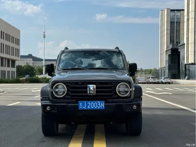 2021 Tank 300 Off-road Edition 2.0T Challenger, фото 2, лот 10344882