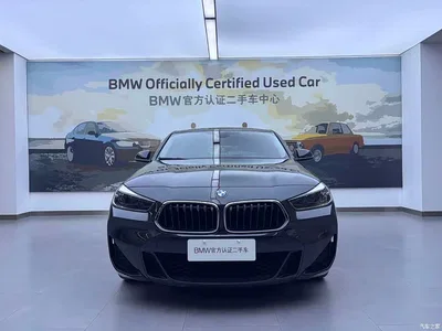 2021 BMW X2 sDrive25i Leading M Off-Road Package, фото 3, лот 10419422