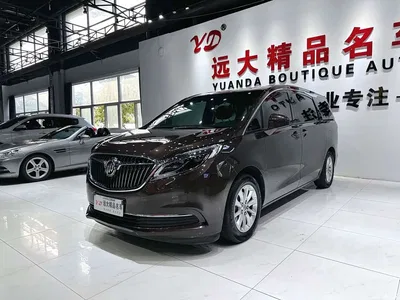 2017 Buick GL8 ES 28T Premium China V, фото 1, лот 10250376