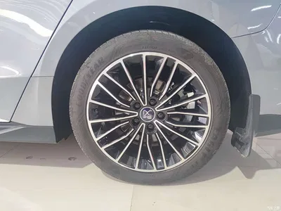 2023 BYD Han DM-i Champion Edition 121KM Prestige, фото 3, лот 10251203