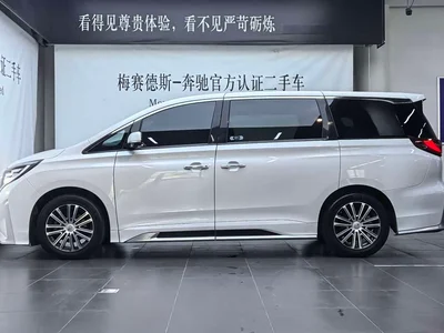 2023 GAC Trumpchi Trumpchi M8 Leading Series 390T Prestige Edition, фото 2, лот 10481607