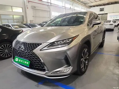 2020 Lexus RX Facelift 300 AWD Elegance Edition, фото 2, лот 10319229