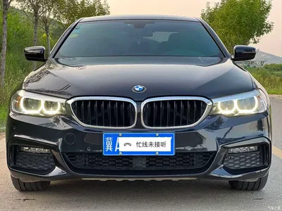 2019 BMW 5 Series 530Li Leading M Sport Package, фото 2, лот 10443844