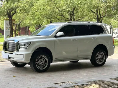2025 Tank 500 EV Hi4-Z, фото 1, лот 10399731