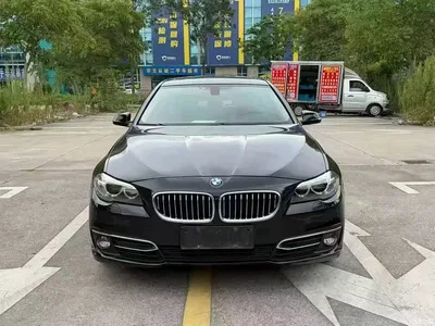2012 BMW 5 Series 520Li Elegance, фото 2, лот 11249267