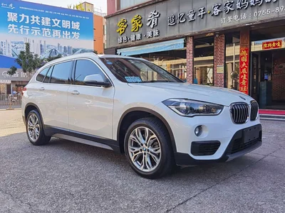 2016 BMW X1 xDrive20Li Luxury Model, фото 3, лот 10465914