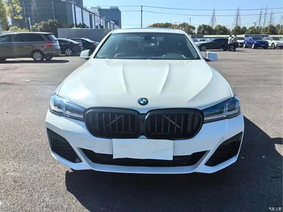 2011 BMW 5 Series 520Li Elegance, фото 1, лот 11138128
