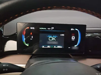 2024 BYD Song Pro New Energy Glory Edition DM-i 71KM Pilot, фото 4, лот 11140948