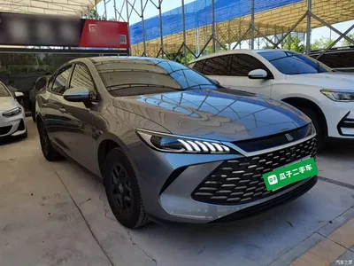 2026 BYD Qin PLUS DM-i Smart Edition 128KM Progressive, фото 4, лот 11582210