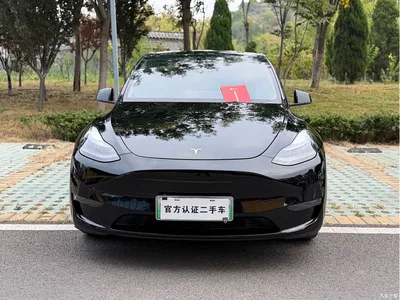2021 Tesla Model Y Standard Range Rear-Wheel Drive, фото 2, лот 11089046