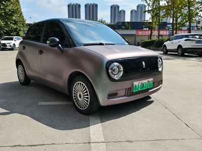 2022 Ora Black Cat 301km Cute Edition LFP, фото 3, лот 10332223