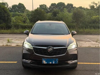 2020 Buick Envision Plus 20T FWD Elite, фото 2, лот 10363670