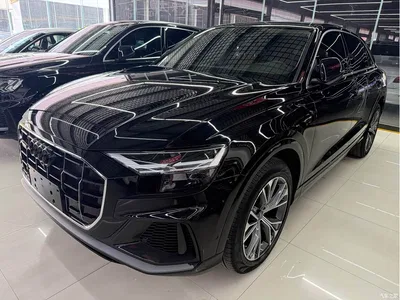 2019 Audi Q8 55 TFSI Luxury Dynamic, фото 1, лот 10474019