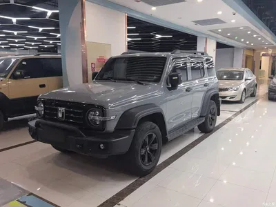 2023 Tank 300 Off-Road Edition 2.0T Conqueror, фото 1, лот 10347491