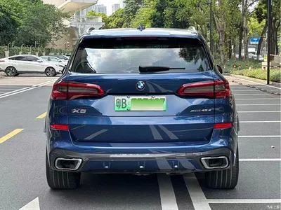 2020 BMW X5 New Energy(Imported) xDrive45e M Sport Package, фото 3, лот 11217219