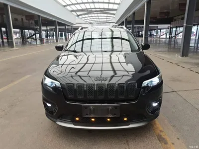 2019 Jeep Cherokee 2.0T 2WD Smart Edition China V, фото 3, лот 10295224