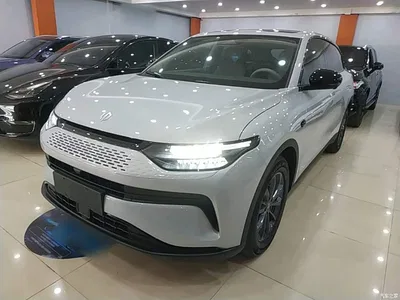 2023 Leapmotor C11 Range Extender 180 Comfort Edition, фото 1, лот 10441892