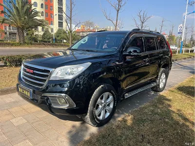 2017 Haval H9 2.0T Petrol 4WD Luxury 7-seater, фото 1, лот 10281575