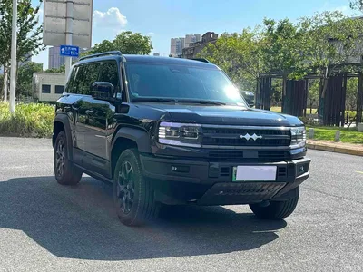 2023 Byd Leopard 5 Yun Nian Flagship Edition, фото 3, лот 10827878