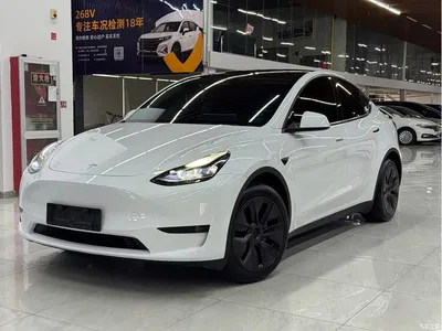 2024 Tesla Model Y Rear-Wheel Drive Version, фото 1, лот 10454379
