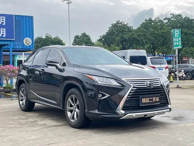 2016 Lexus RX 300 2WD Elite Edition China VI, фото 3, лот 10315431