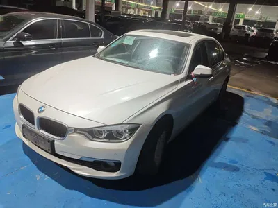 2016 BMW 3 Series 320Li Fashion Model, фото 1, лот 11195563