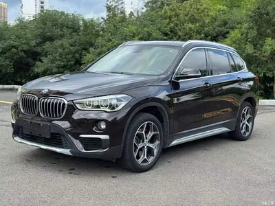2019 BMW X1 xDrive20Li Premium Model, фото 2, лот 10467443