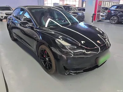 2022 Tesla Model 3 Model Rear-Wheel Drive Version, фото 4, лот 10893632