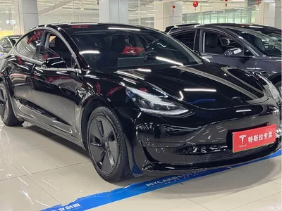 2020 Tesla Model 3 Standard Range Rear-Wheel Drive Upgrade, фото 3, лот 10356255