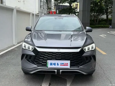 2023 BYD Song Pro New Energy Champion Edition DM-i 110KM Excellence, фото 2, лот 11582885