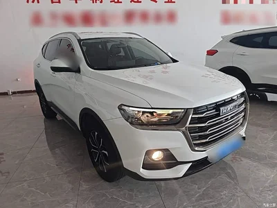 2021 Haval H6 National Trend Edition 1.5T Automatic Urban Edition, фото 4, лот 10286827