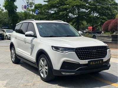 2018 Zotye T800 2.0T Auto Premium Smart Connect 7-seater, фото 3, лот 10404907