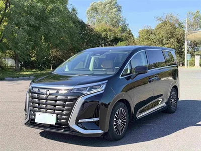 2024 Denza D9 DM-i 980 AWD Prestige, фото 1, лот 10450036