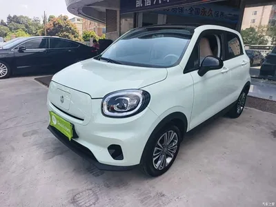 2024 Leapmotor T03 310 Comfort Edition, фото 1, лот 10443067