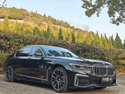2016 BMW 7 Series 730Li Luxury, фото 3, лот 10899233